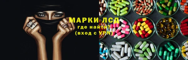индика Горно-Алтайск