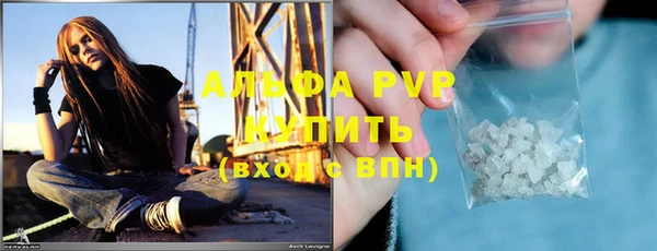 стафф Гусев