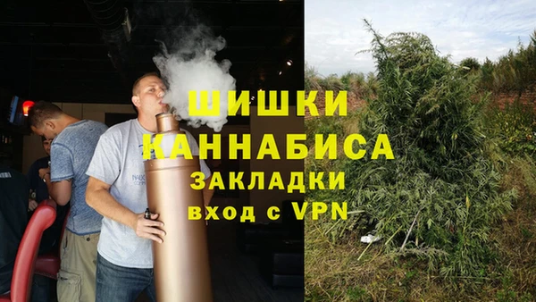 стафф Гусев