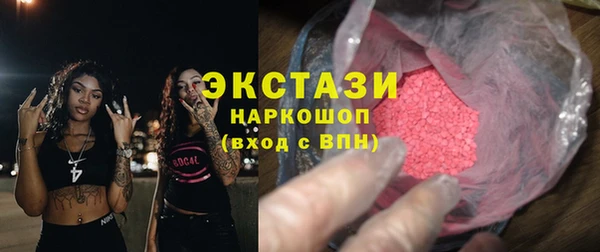 стафф Гусев