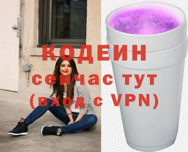 стафф Гусев