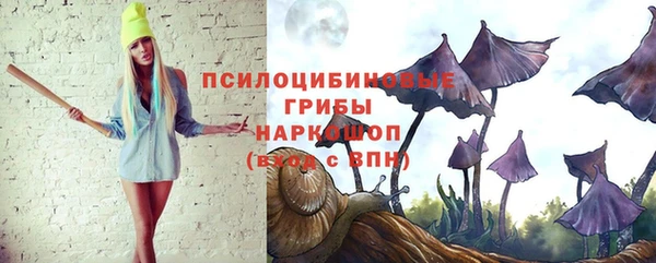 стафф Гусев