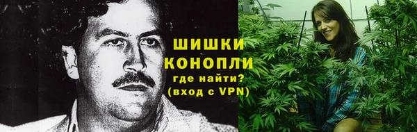 стафф Гусев