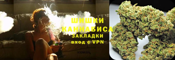 стафф Гусев