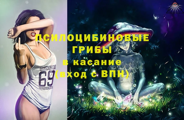 сатива Гусь-Хрустальный