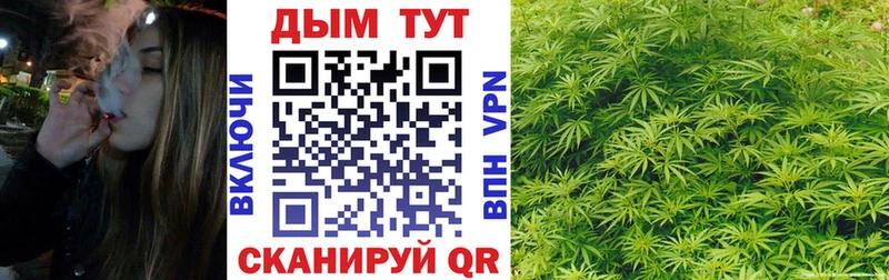 магазин продажи   Котлас  Конопля Ganja 